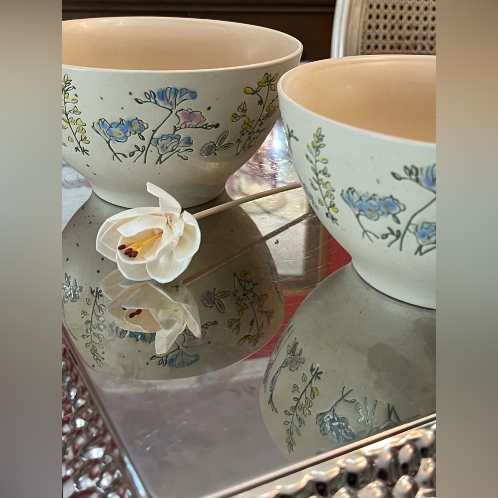 Set of 2 Spring Pressed Garden Soup Cereal Bowl Stoneware 6” Spectrum Designz